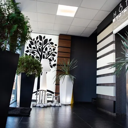 Hotel Acktion Deluxe